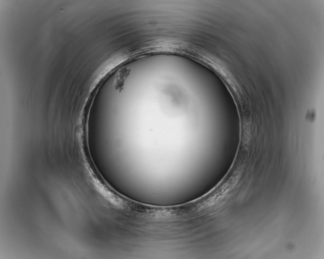 X0000100981042200806241538