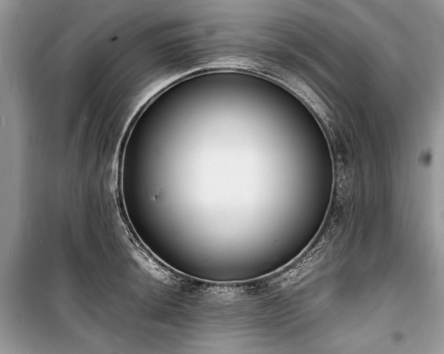 X0000100981044200806241538