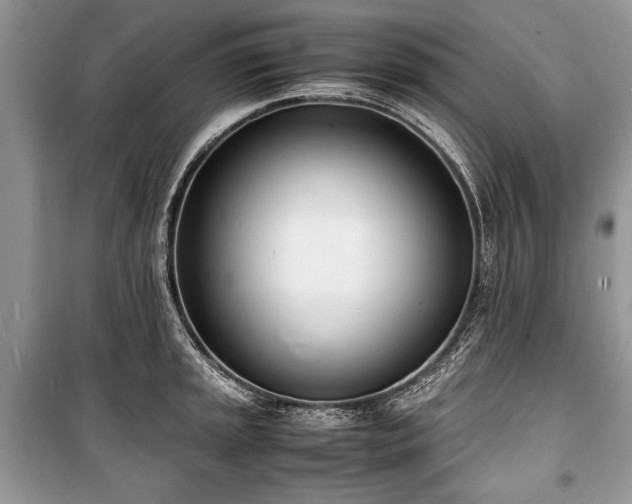 X0000100981045200806241538