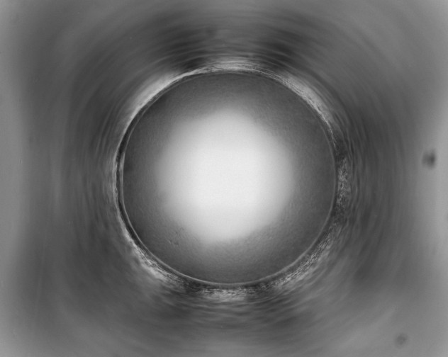 X0000100981047200806241538