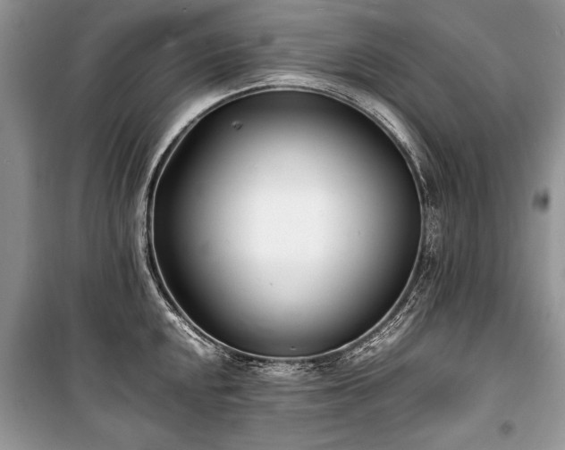X0000100981048200806241538