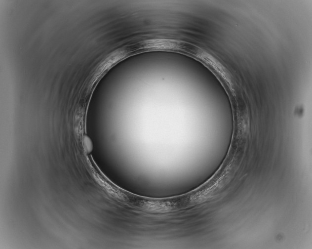 X0000100981049200806241538