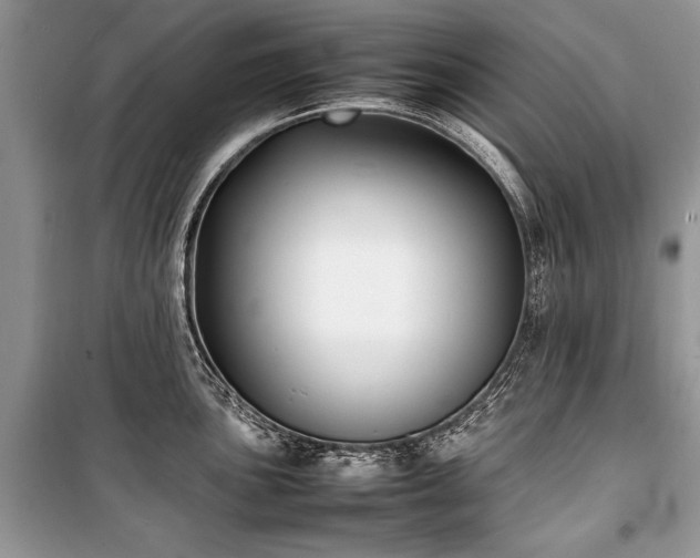 X0000100981051200806241538