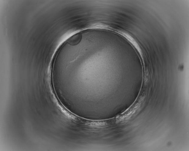 X0000100981053200806241538