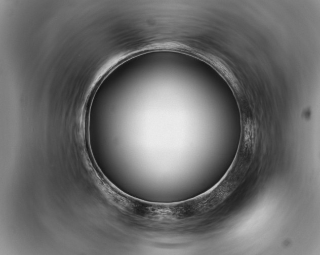 X0000100981054200806241538