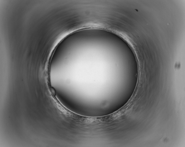X0000100981056200806241538
