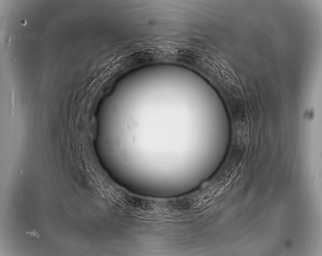 X0000100981057200806241537