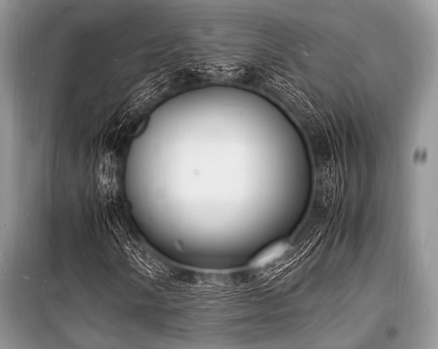 X0000100981058200806241537