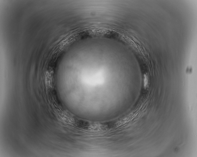 X0000100981059200806241537
