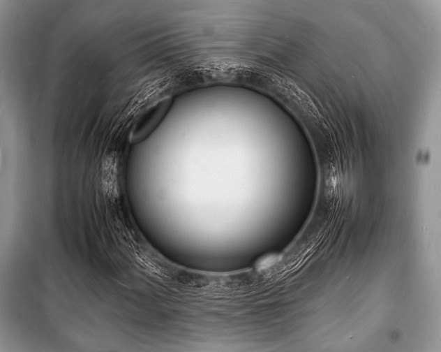 X0000100981060200806241537