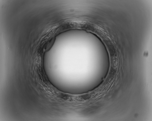 X0000100981061200806241537