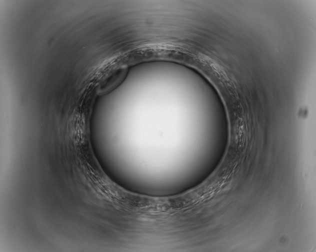 X0000100981062200806241537