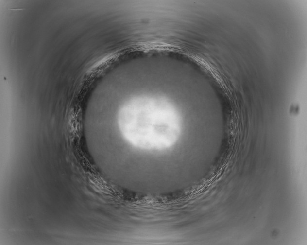 X0000100981063200806241537