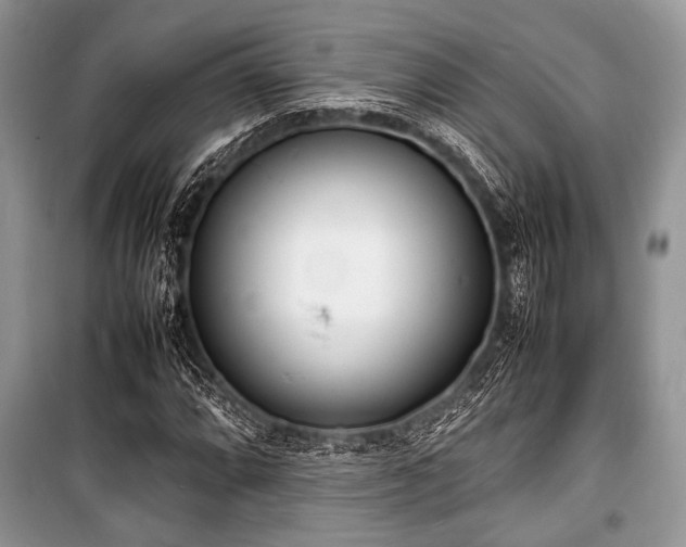 X0000100981064200806241537