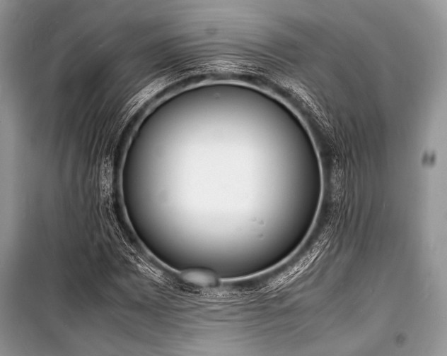 X0000100981065200806241537