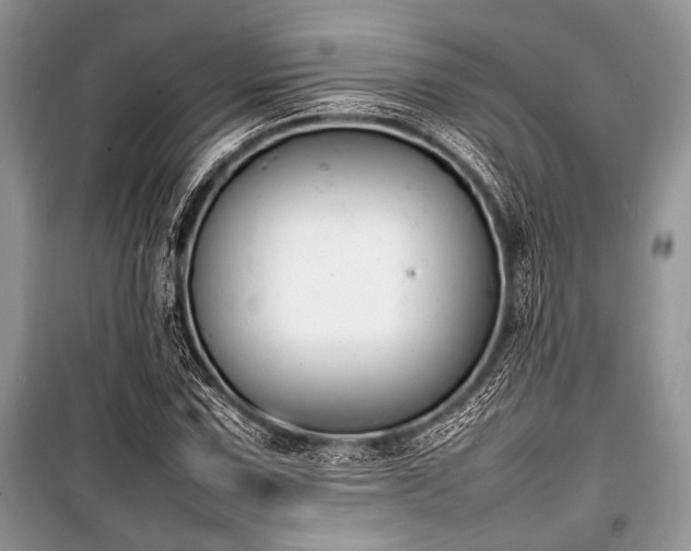 X0000100981067200806241537