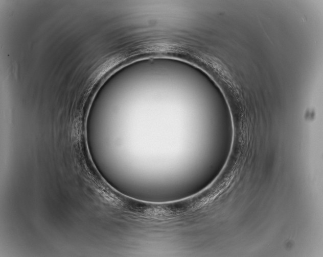 X0000100981073200806241537