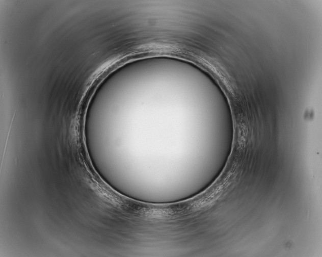 X0000100981074200806241537