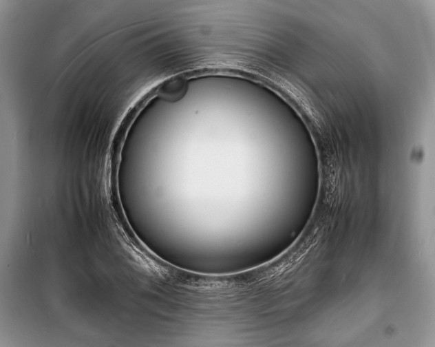X0000100981076200806241537