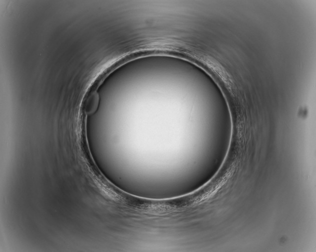 X0000100981077200806241537