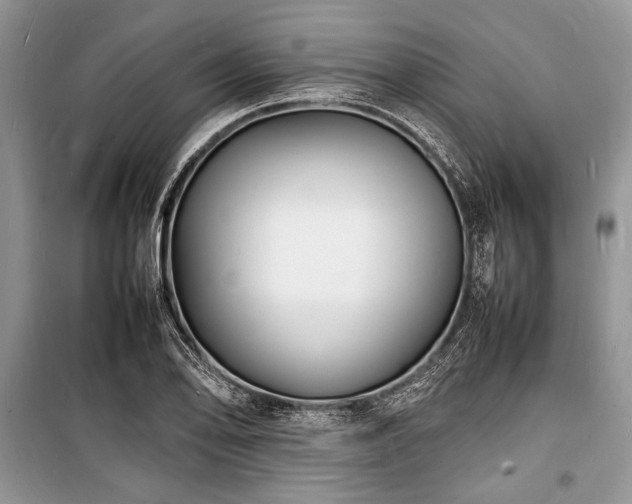 X0000100981078200806241537