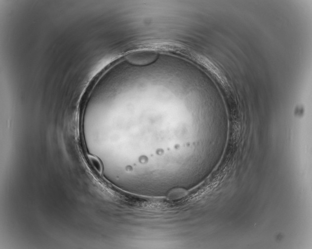 X0000100981079200806241537