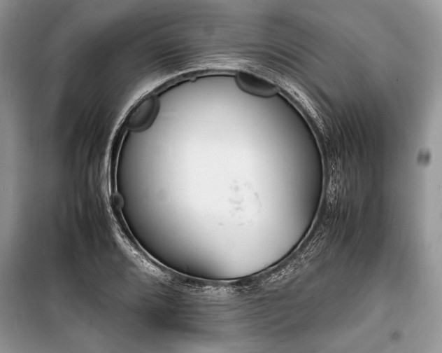 X0000100981080200806241537