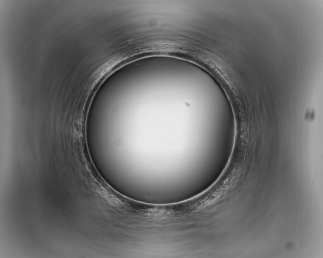 X0000100981081200806241537