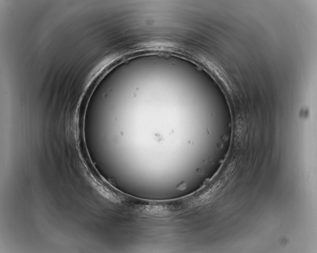 X0000100981082200806241537
