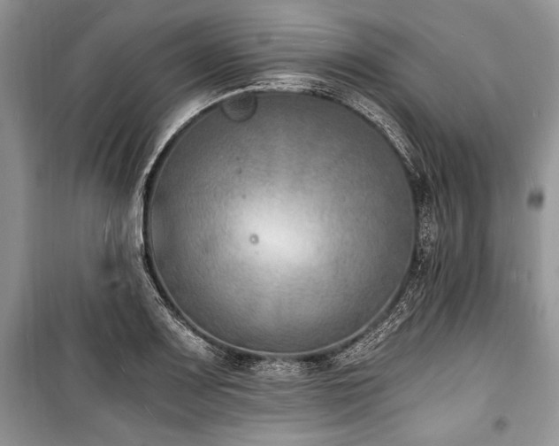 X0000100981083200806241537