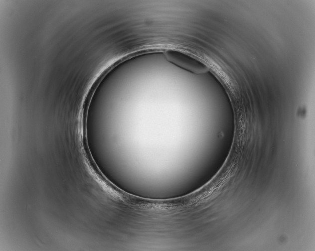 X0000100981084200806241537