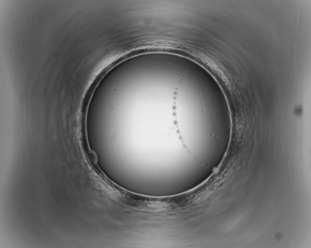 X0000100981085200806241537