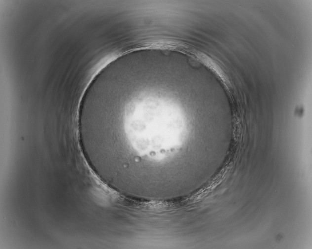 X0000100981087200806241537