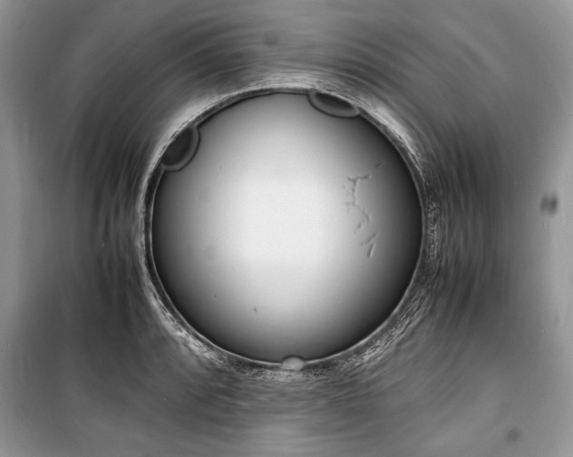 X0000100981088200806241537