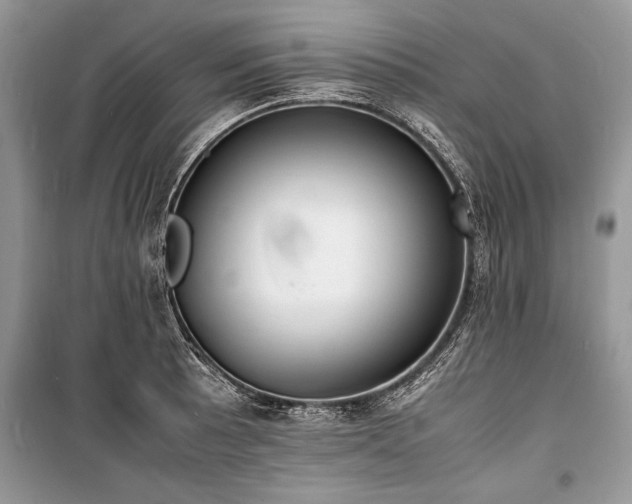 X0000100981089200806241537