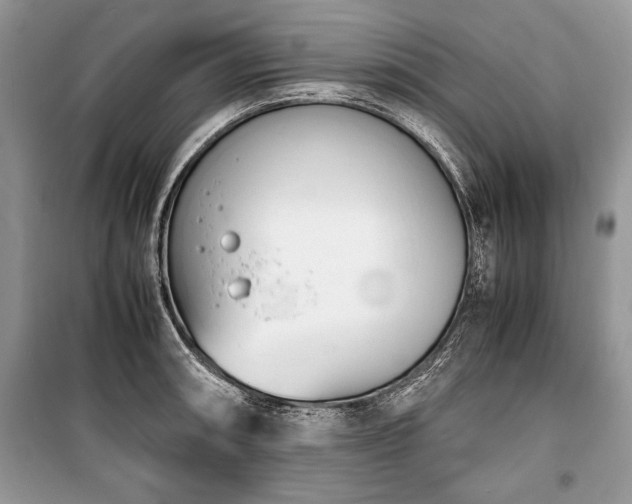 X0000100981090200806241537