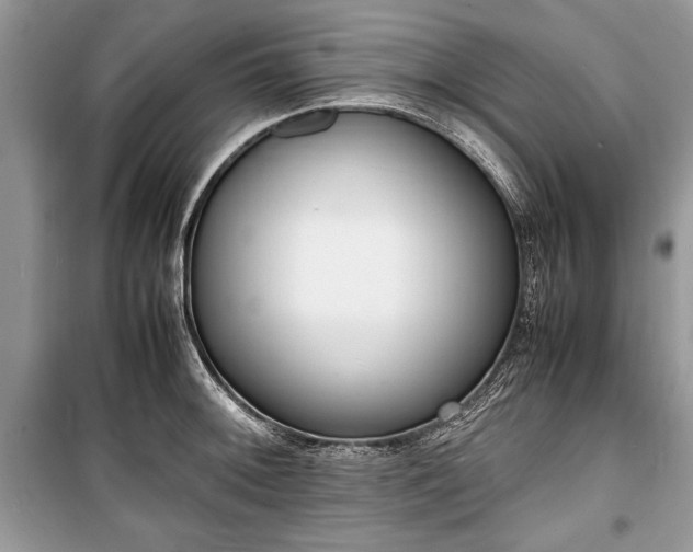 X0000100981092200806241537