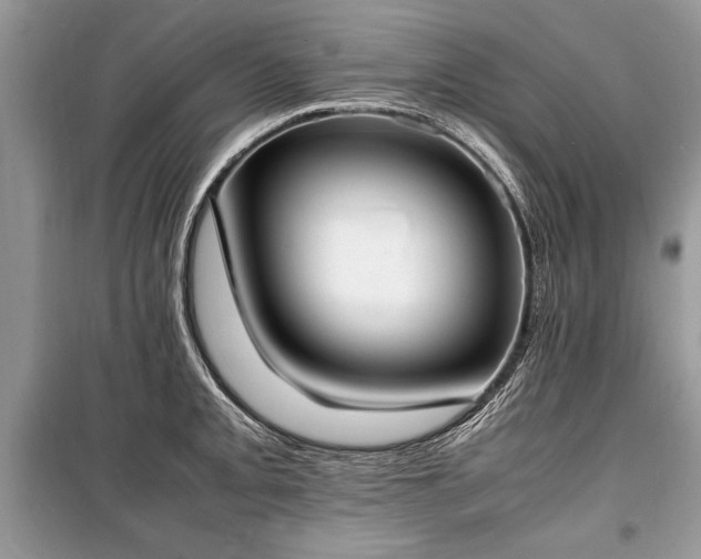 X0000100981093200806241537
