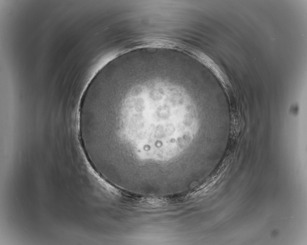 X0000100981095200806241537