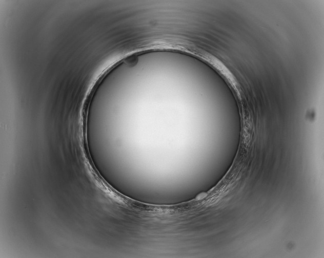 X0000100981096200806241537