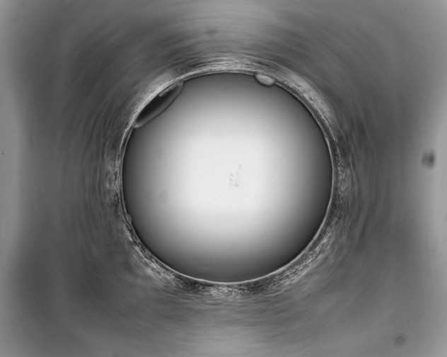 X0000100981097200806241537