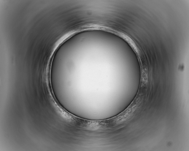 X0000100981098200806241537