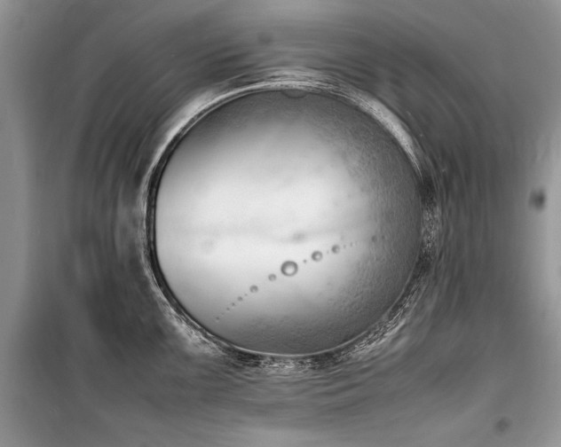 X0000100981099200806241537
