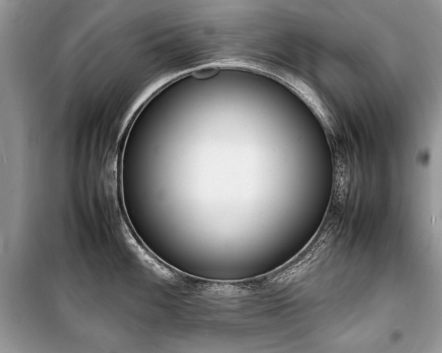 X0000100981100200806241537