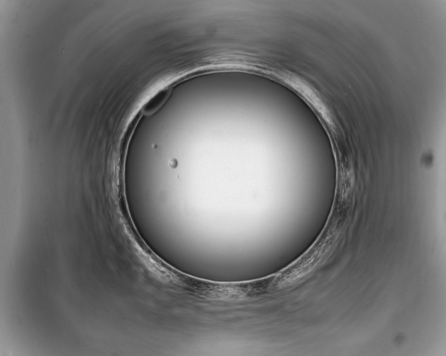 X0000100981101200806241537