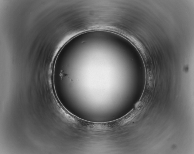 X0000100981102200806241537
