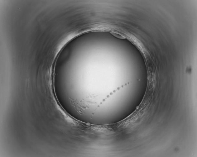 X0000100981103200806241537
