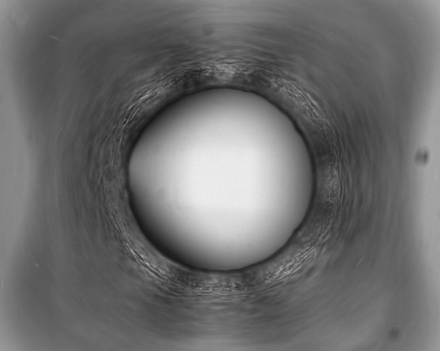 X0000100981105200806241536