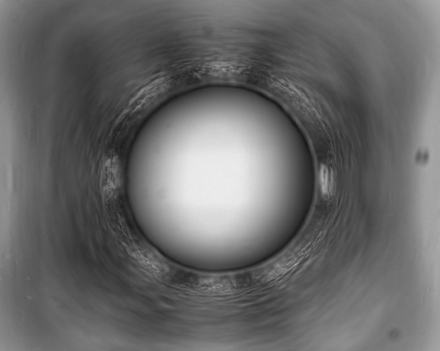X0000100981107200806241536