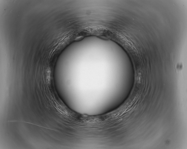 X0000100981108200806241536